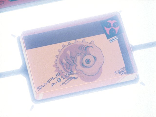 Op_adam.jpg (34690 bytes)